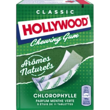 Hollywood regular chlorophylle tablettes 5x11-155g