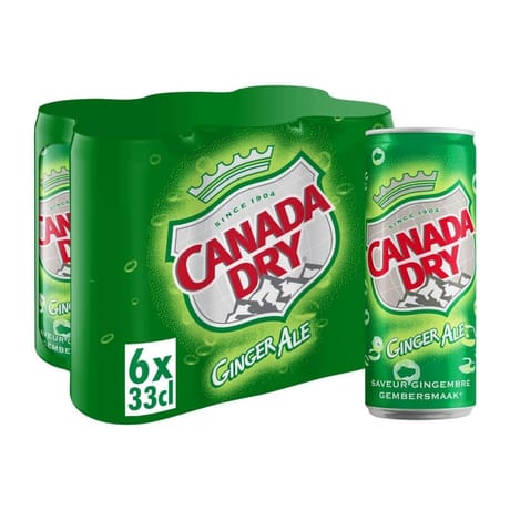 Cananda dry boite sleek 6x33cl
