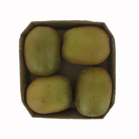 KIWI VERT BIO BARQUETTE 4 FRUITS