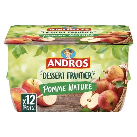 Andros dessert de pomme nature 12x100g