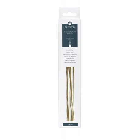 Tiges x7 saule 24cm