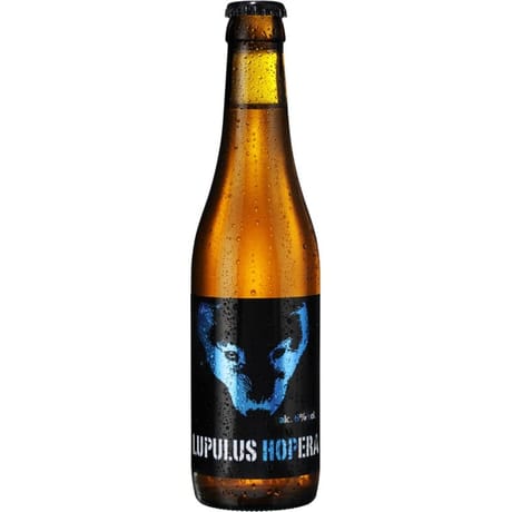 Biere lupulus hopera bio 6%vol
