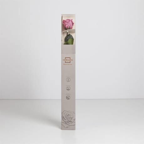 Rose naturelle stabilisée cherry vintage