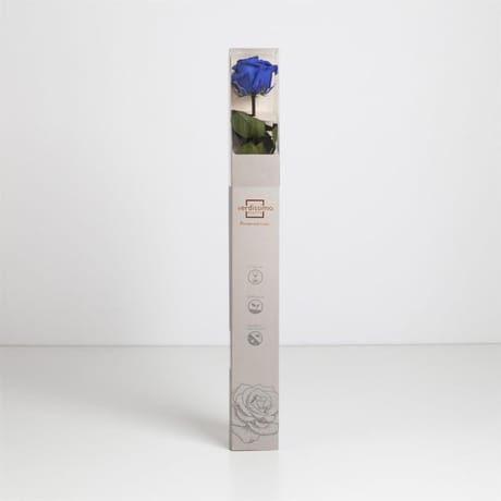 Rose naturelle stabilisée bleue royal