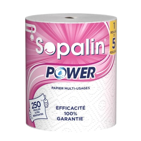 Sopalin essuie tout power 1=10 rouleaux