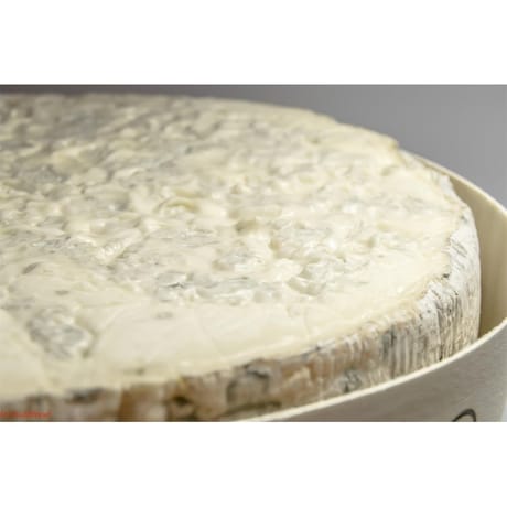 Gorgonzola AOP extra crèmeux (à la cuillère) grande réserve
