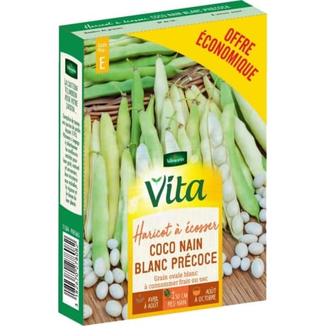 Vita Vilmorin haricot coco nain blanc eco