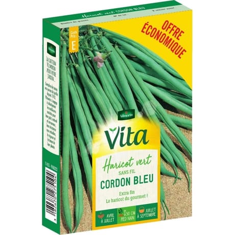 Vita Vilmorin haricot cordon bleu eco