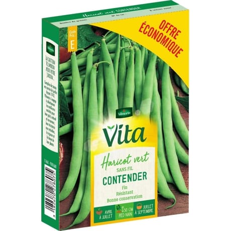 Vita Vilmorin haricot contender eco