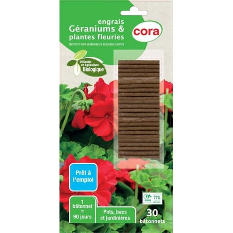 Bâtonnets x30 géraniums cora