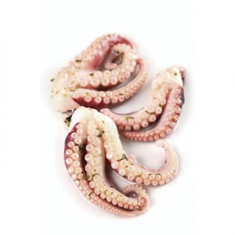 Tentacules d'encornets décongelées et saumurées