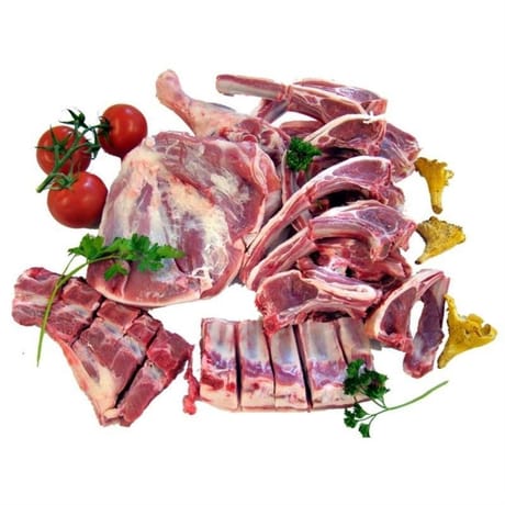 Agneau : quart avant découpé : épaule** avec os à rôtir, côtes** à griller, collier** à mijoter et p