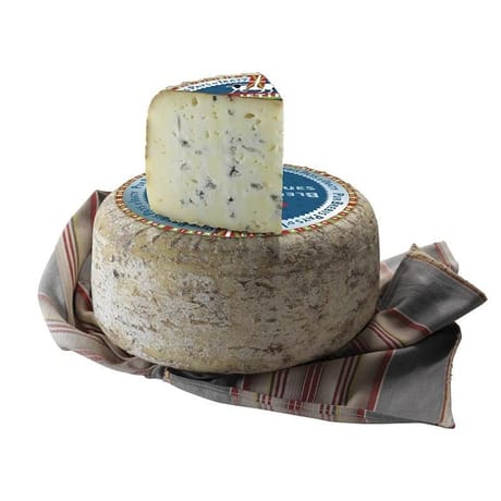 Bleu des basques lait pasteurisé brebis