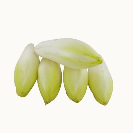 ENDIVES PERLE DU NORD LE SACHET DE 5