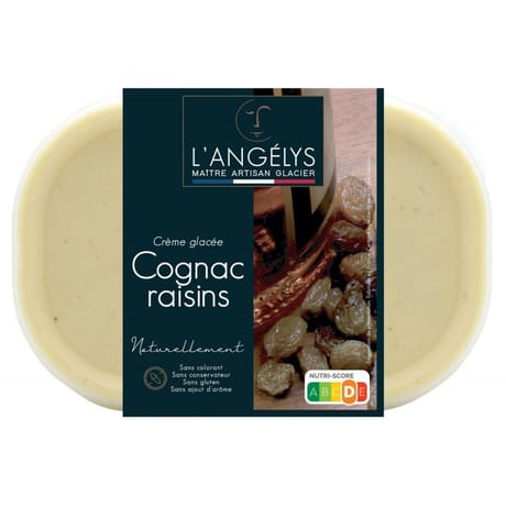 L'angelys bac crème glacée cognac raisins 750ml 500g