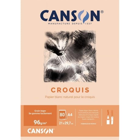 Canson bloc dessin blanccrob'art 80 feuilles a4 96g 6 couleurs assorties
