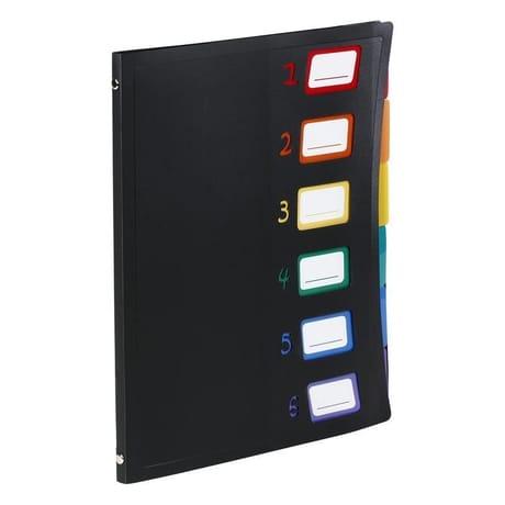 Viquel trieur reliure 6 positions rainbow class
