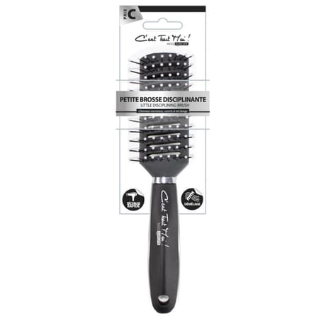 Miss europe c'est tout moi n°36 petite brosse disciplinante