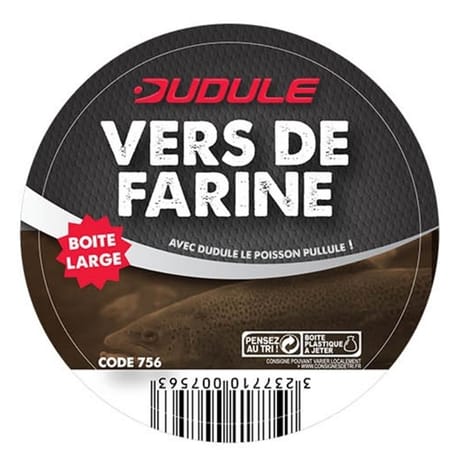 Vers de farine petit modèle
