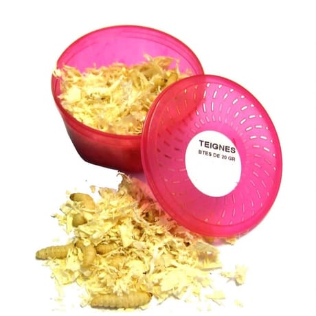 Teignes vrac environ 23g