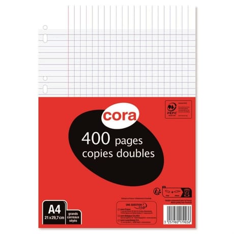 Cora copies doubles blanches perforées 21 x 29.7 cm 400 pages seyes grands carreaux