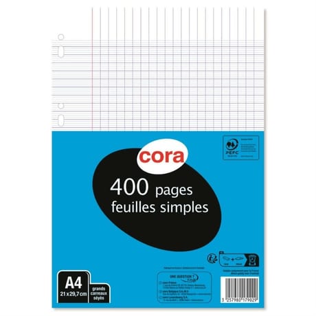 Cora feuilles simples perforées  21 x 29.7 cm 400p seyes grands carreaux