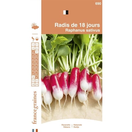 France graines radis de 18 jours