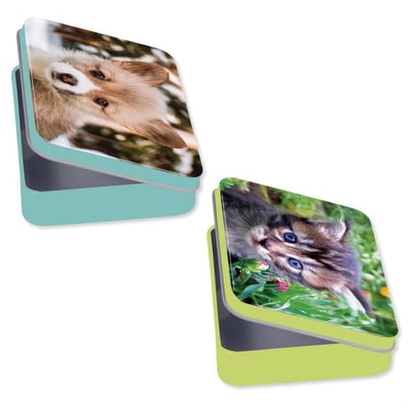 Animaux domestiques nature future boîte bons points métal