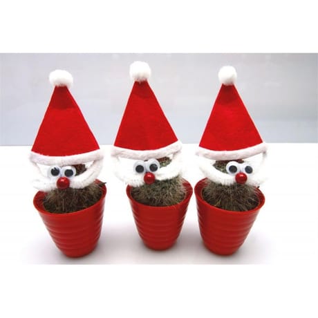 Cactus decoré pot rouge pot 6 cm