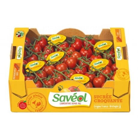 TOMATE COCKTAIL GRAPPE LE KILO