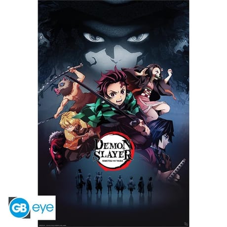 Poster demon slayer "Groupe" roulé filmé (91.5x61)