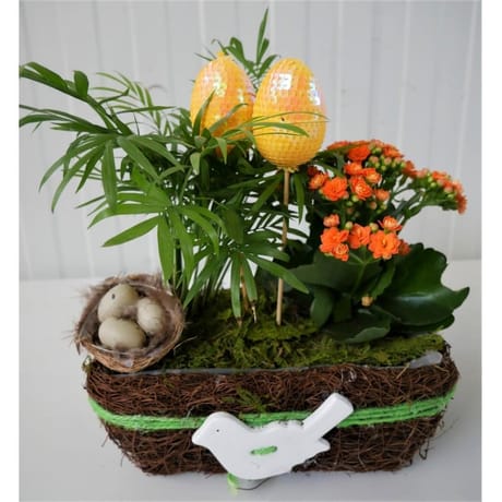 Composition de pâques 2 plantes