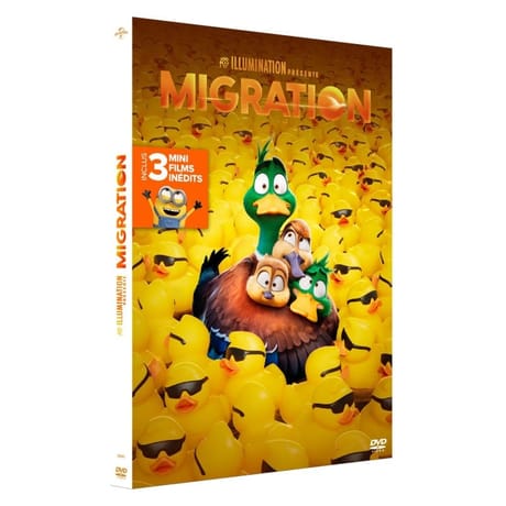 Dvd migration