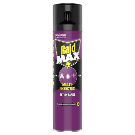 Raid max aérosol multi-insectes 400ml
