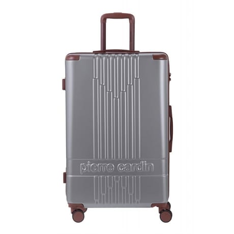 Valise rigide 75cm alpha silver