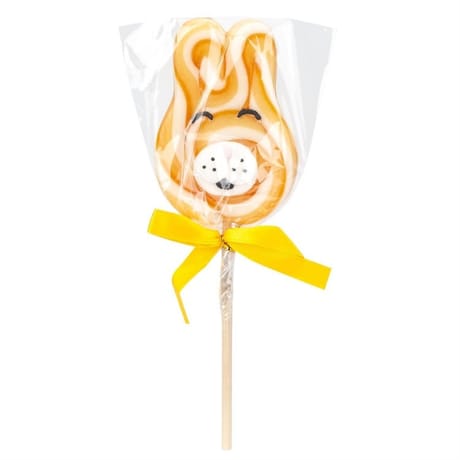 Fizzy sucette lapi pop 40g