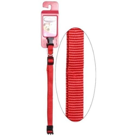 Riga collier sangle 15 uni petit chien attache rapide 25 à 35 cm tour de cou