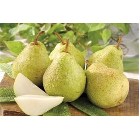 Poire williams verte