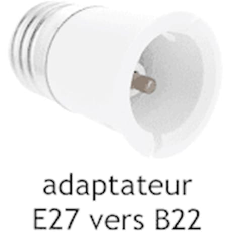Prodelect adaptateur douille male B22-FEM E27