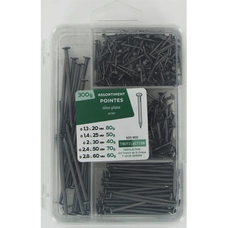 Assortiment pointes tête plate D.1,3 à 2,8 300 gr