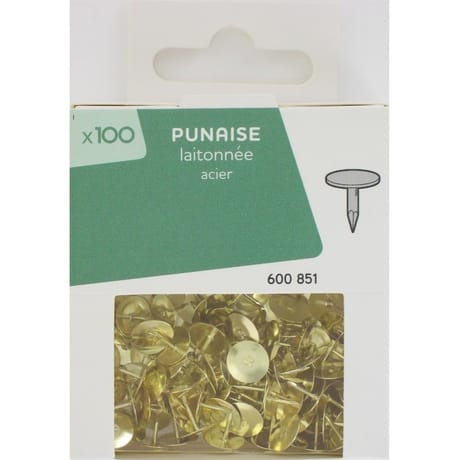 100 punaise laitonnée