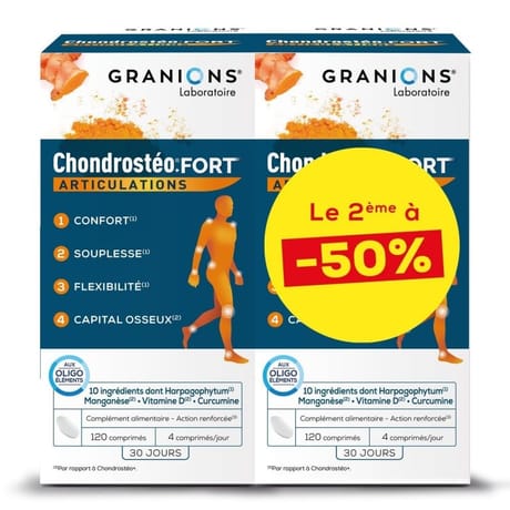 Granions chondrosteo + fort comprimés 2x120