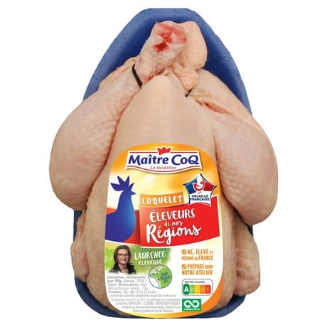 Maître Coq coquelet blanc éleveurs de nos régions x1