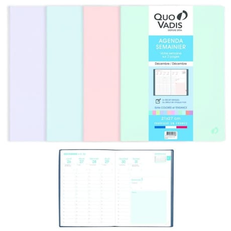 Quo vadis agenda hepta 27 210x270 1s/2p 128 pages pastel ass blush