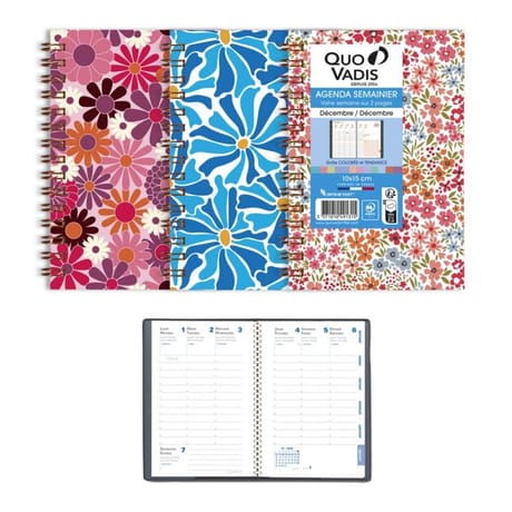Quo vadis agenda hepta 15 100x150 1s/2p 128 pages vegetal