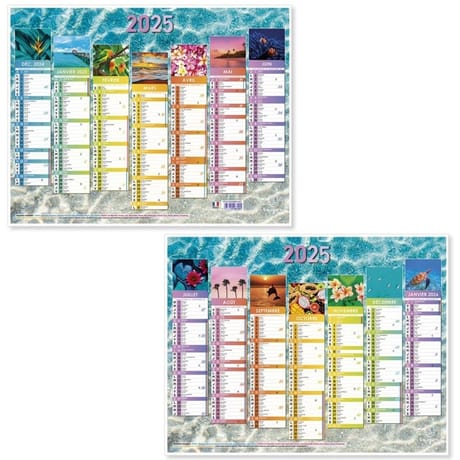 Exacompta calendrier grille recto verso 6 mois 53x40.5 cm exotique