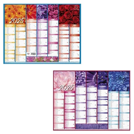 Exacompta calendrier grille recto verso 7 mois janv/dec 430x335 fleurs