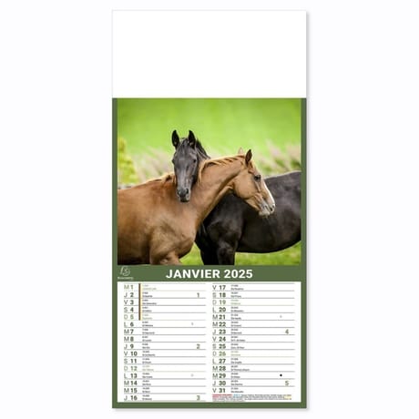 Exacompta calendrier mensuel perforé 18.5x35 cm 12 feuillets chevaux
