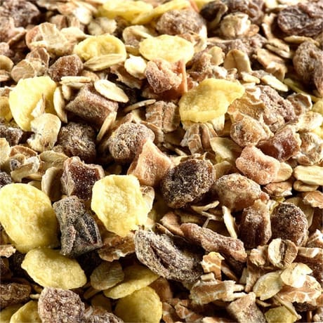 Juste bio muesli fruits et céréales complètes