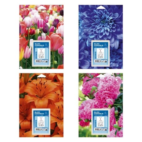 Exacompta éphémeride floral avec bloc comique 245x170 mm